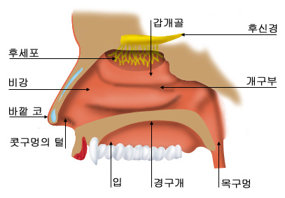 의약품 이미지